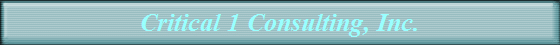Critical 1 Consulting, Inc.