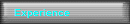 Experience